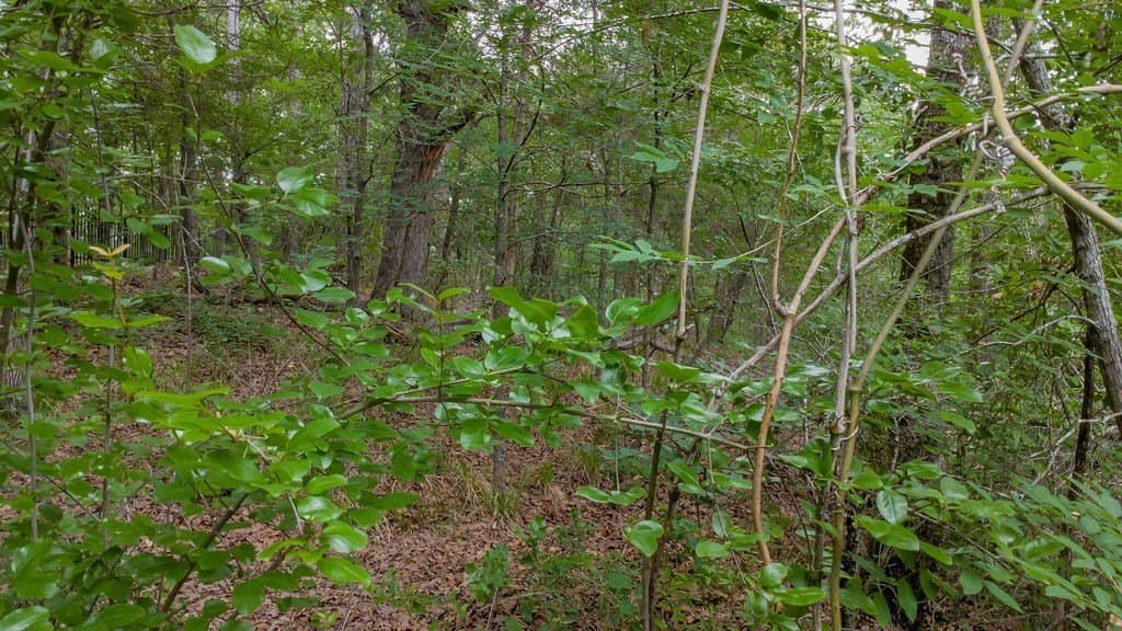 0.61 acres in Smith County - photo 7