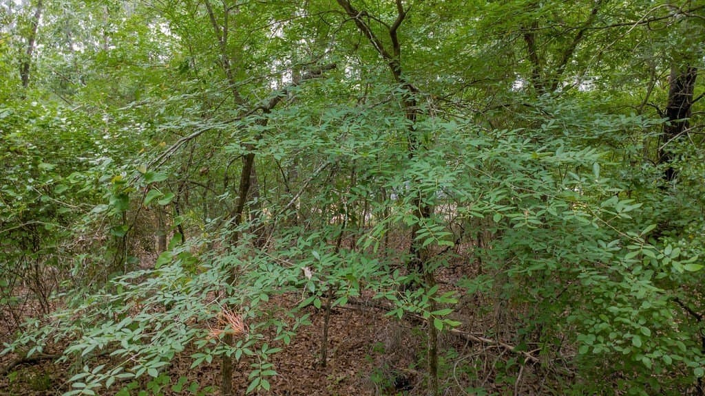 0.61 acres in Smith County - photo 10