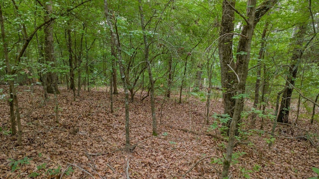 0.61 acres in Smith County - photo 15