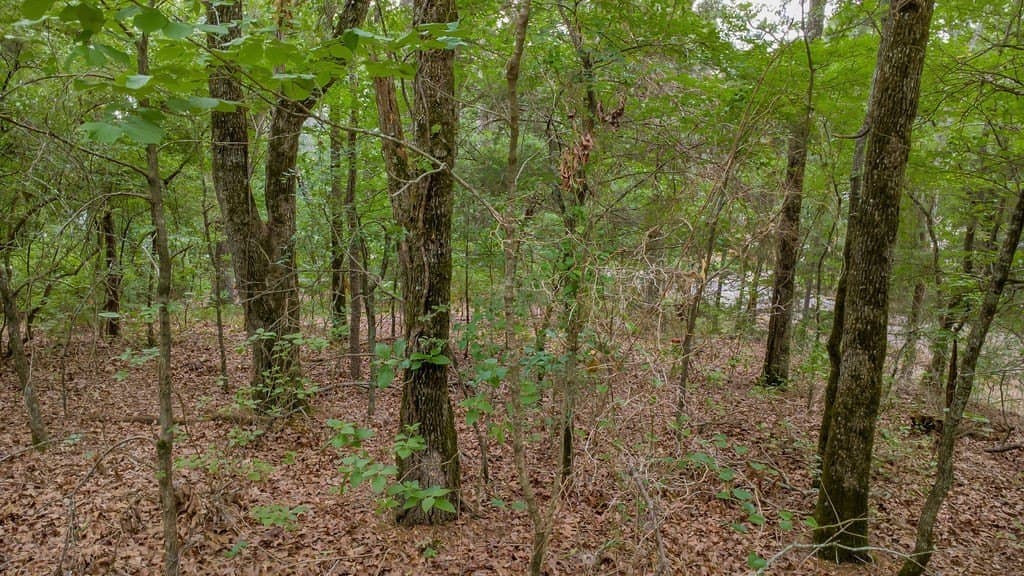 0.61 acres in Smith County - photo 14