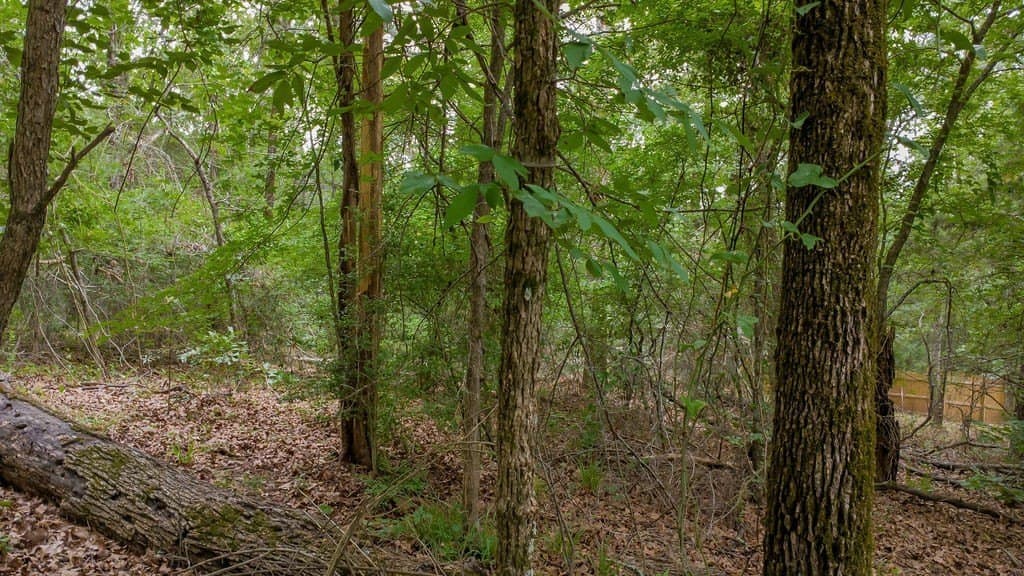 0.61 acres in Smith County - photo 11