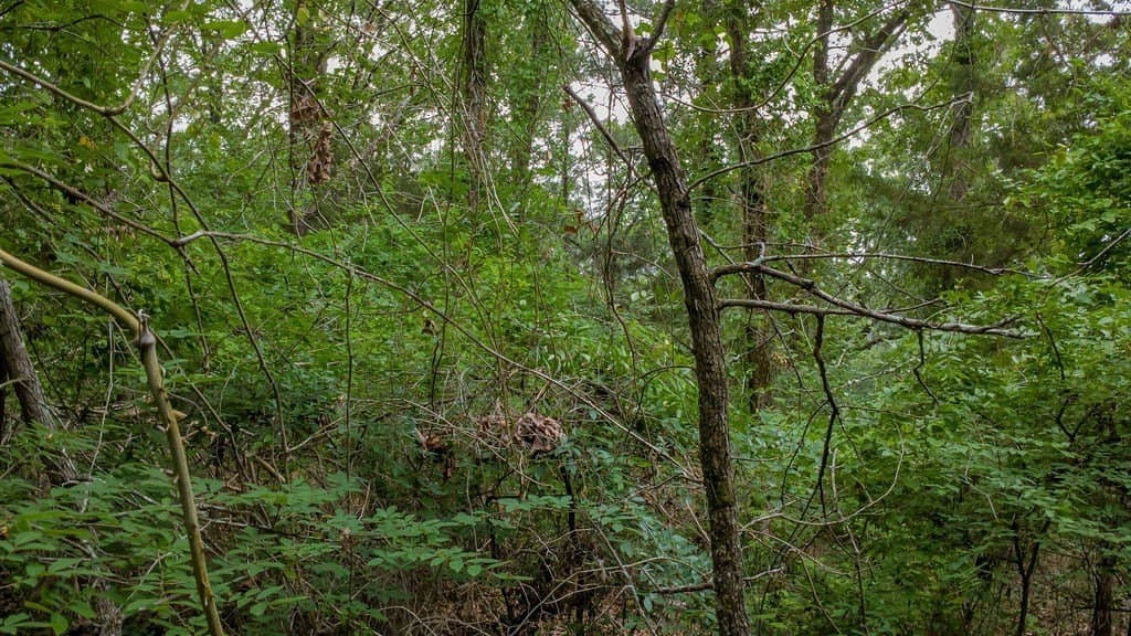 0.61 acres in Smith County - photo 8