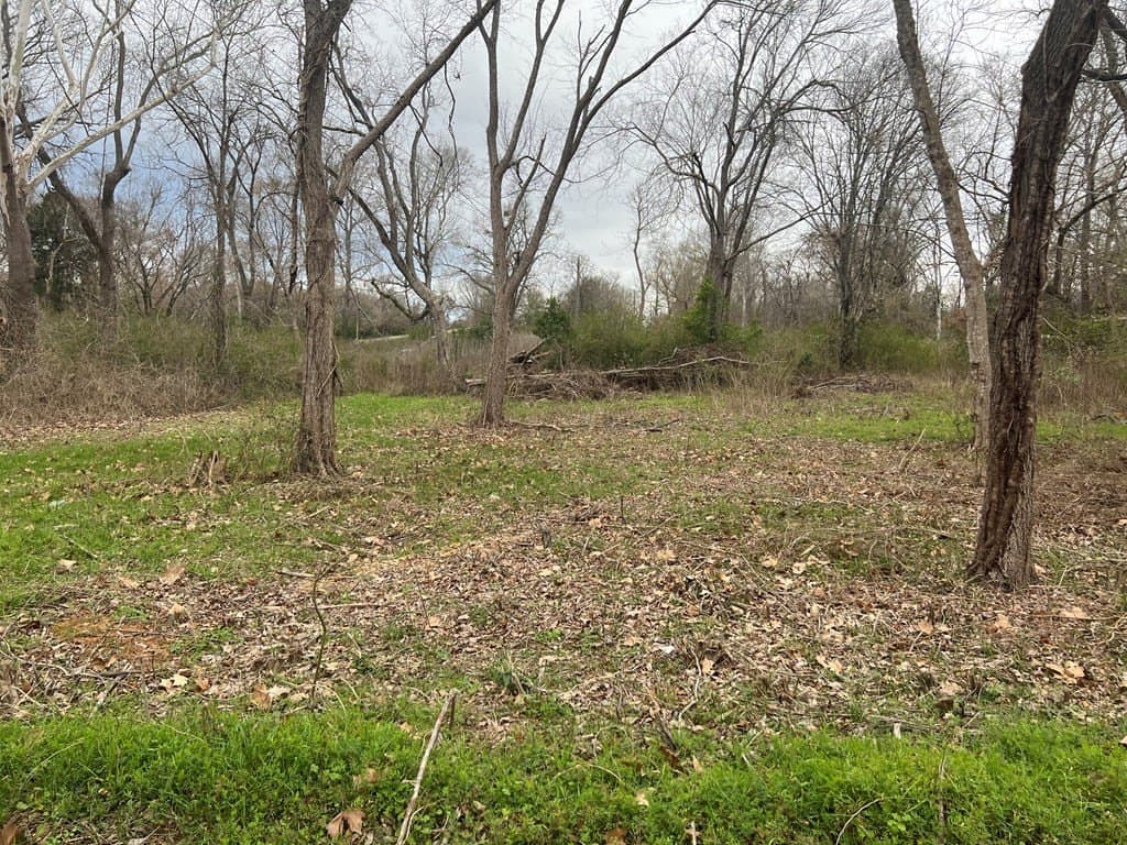0.14 acres in ANDERSON County gallery image 3
