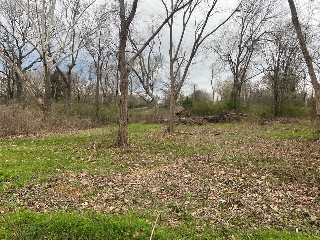 0.14 acres in ANDERSON County gallery image 2