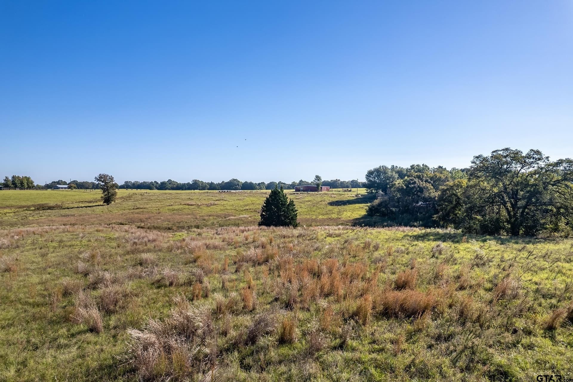 8.14 acres in Henderson County gallery image 4