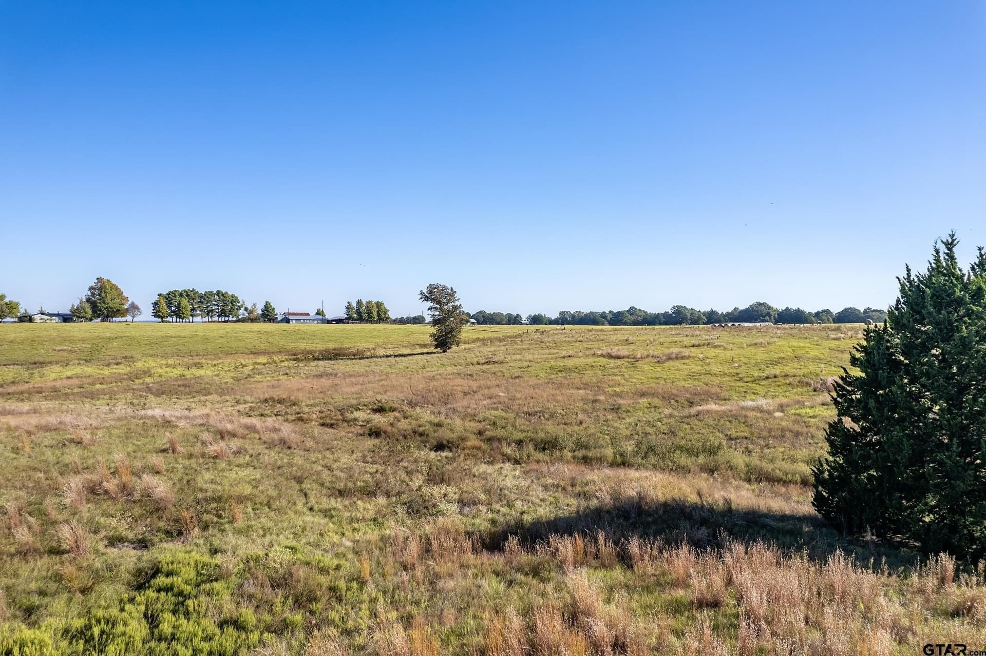 8.14 acres in Henderson County featured view