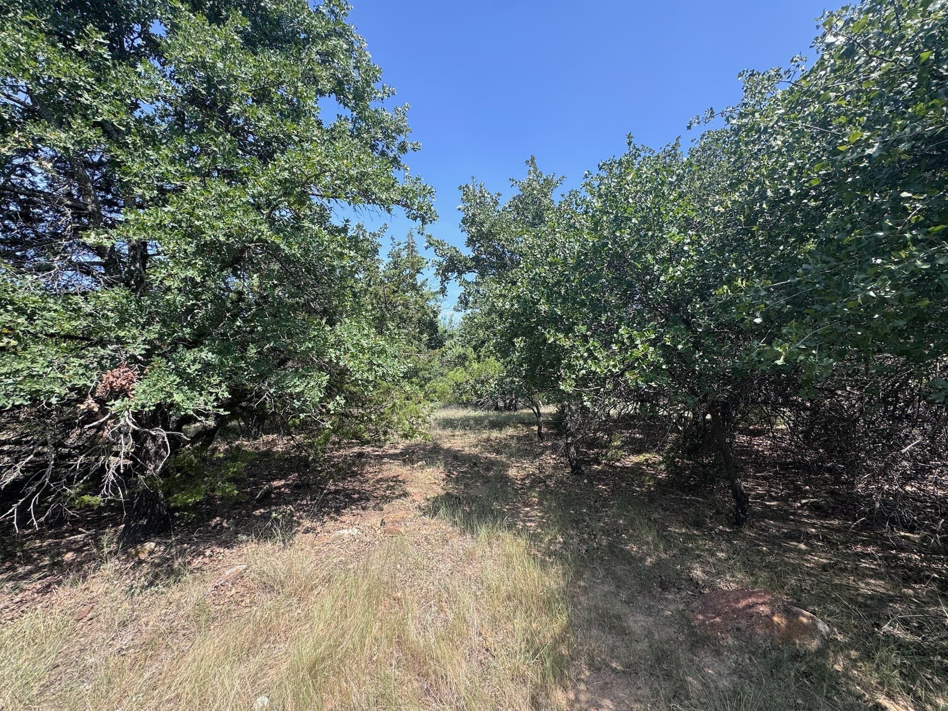 1.27 acres in Palo Pinto County - photo 23