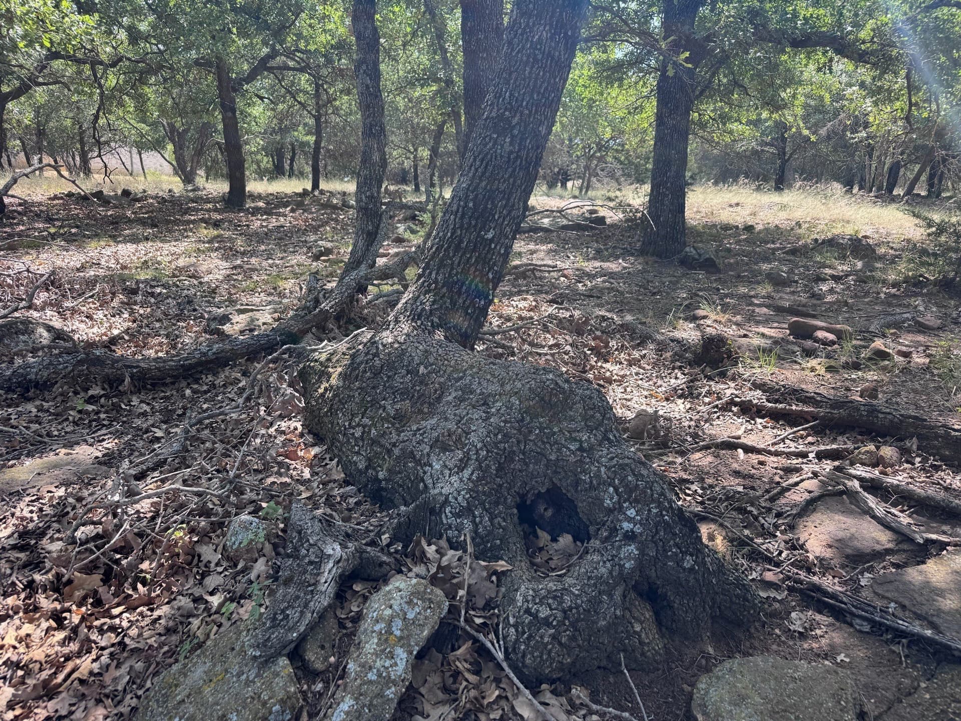 1.27 acres in Palo Pinto County - photo 10