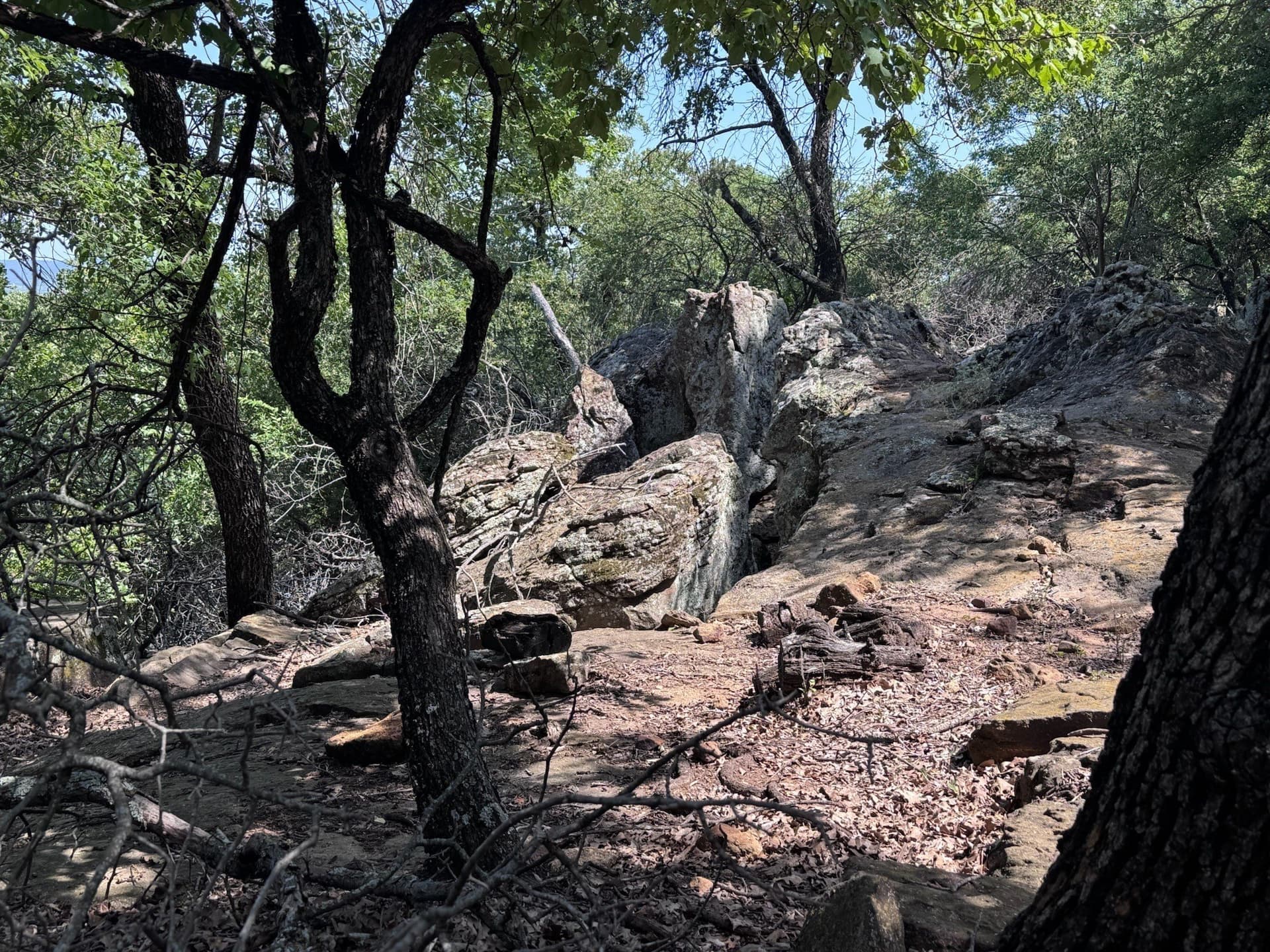 1.27 acres in Palo Pinto County - photo 13