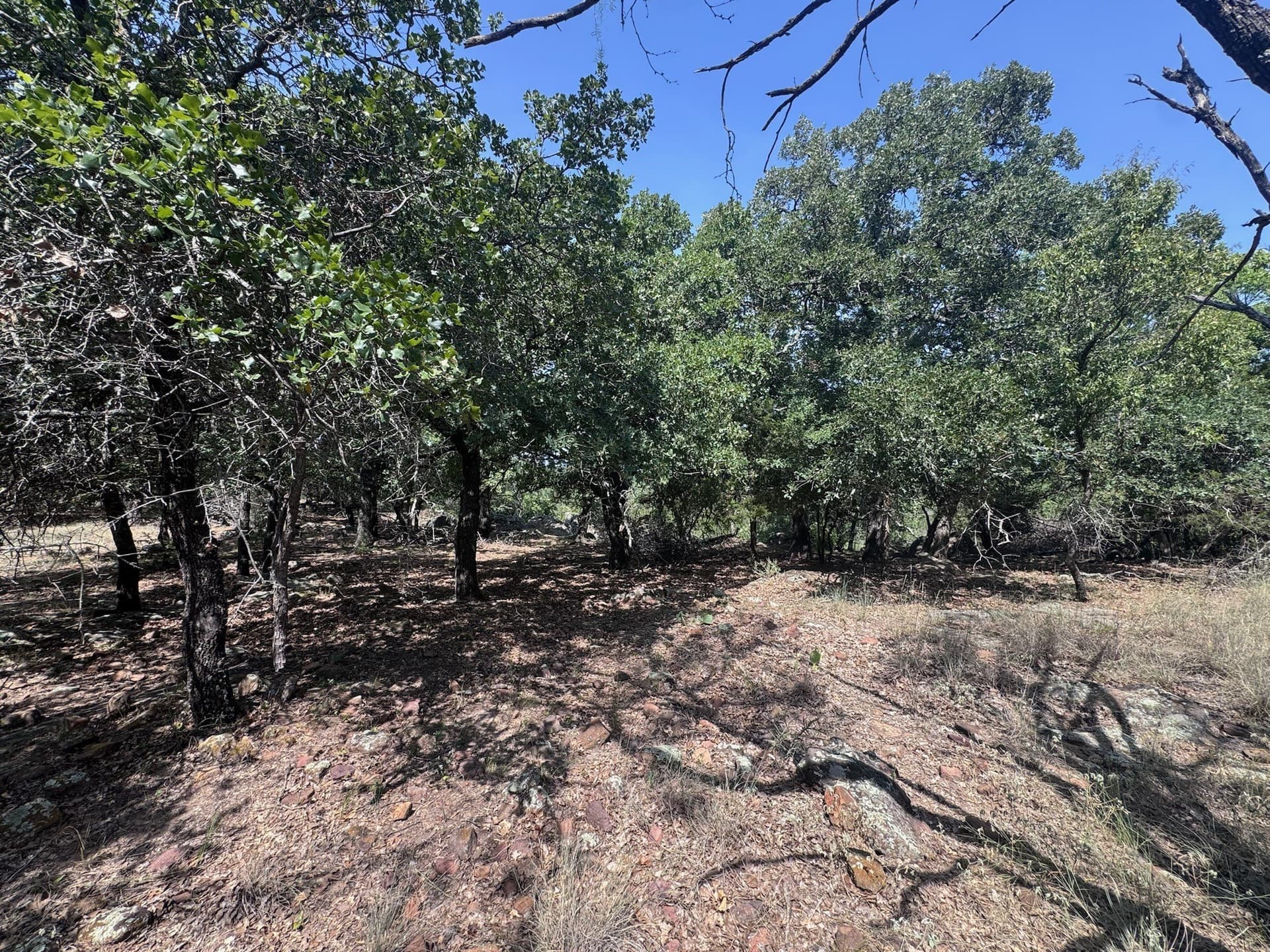 1.27 acres in Palo Pinto County - photo 22