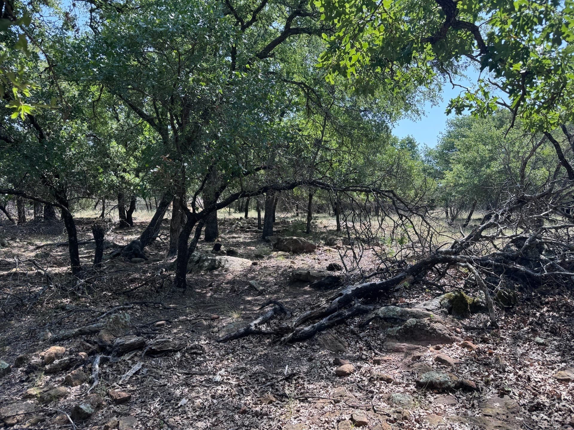 1.27 acres in Palo Pinto County - photo 12