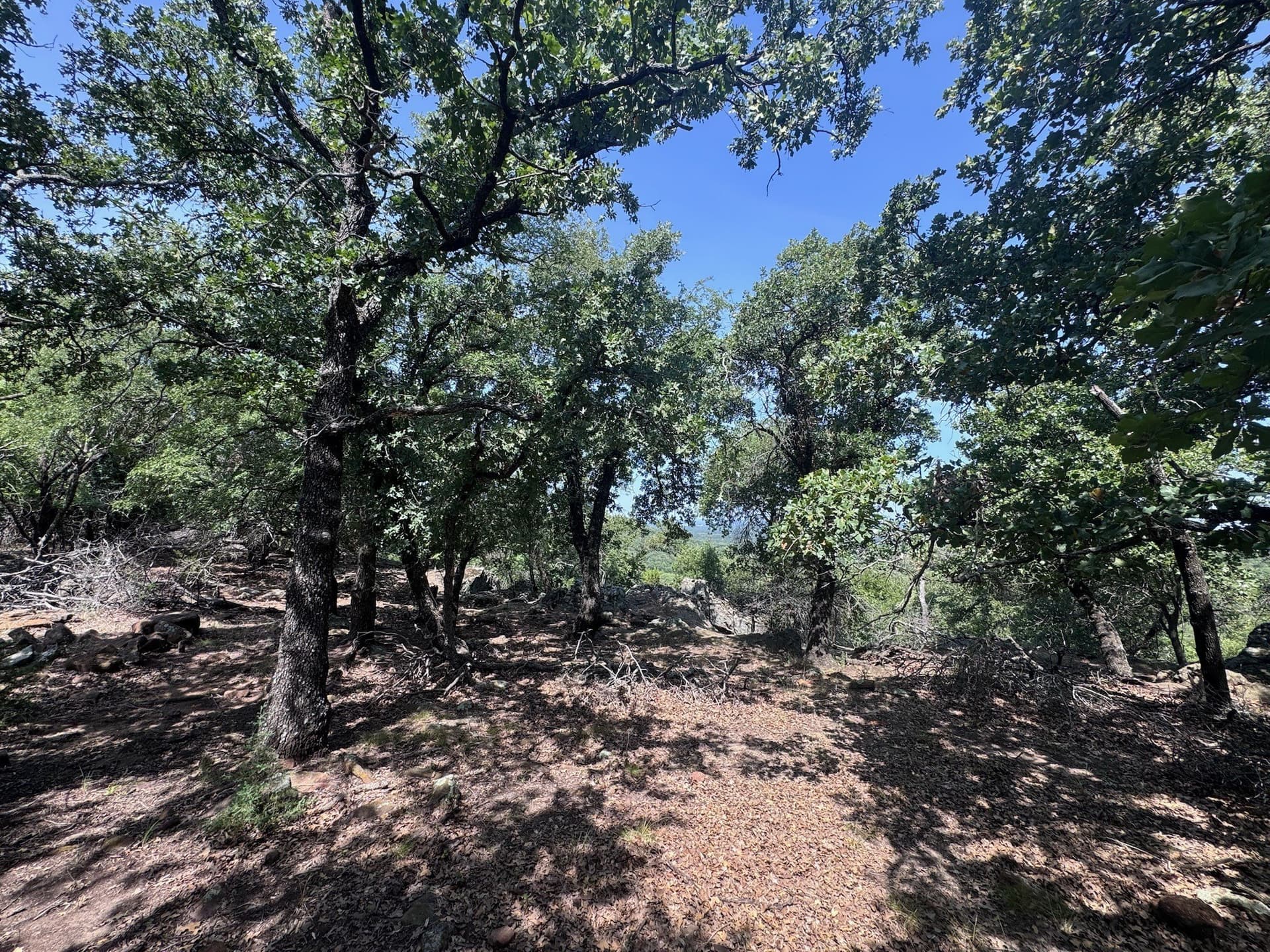 1.27 acres in Palo Pinto County - photo 21