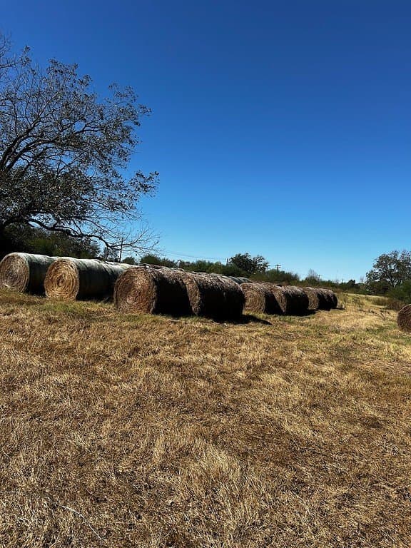 1.1 acres in Fayette County - photo 2