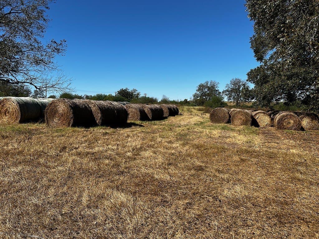 1.1 acres in Fayette County - photo 3