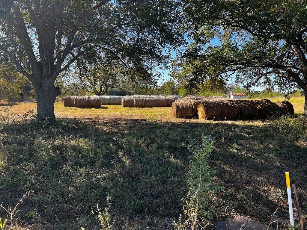 1.1 acres in Fayette County - photo 4