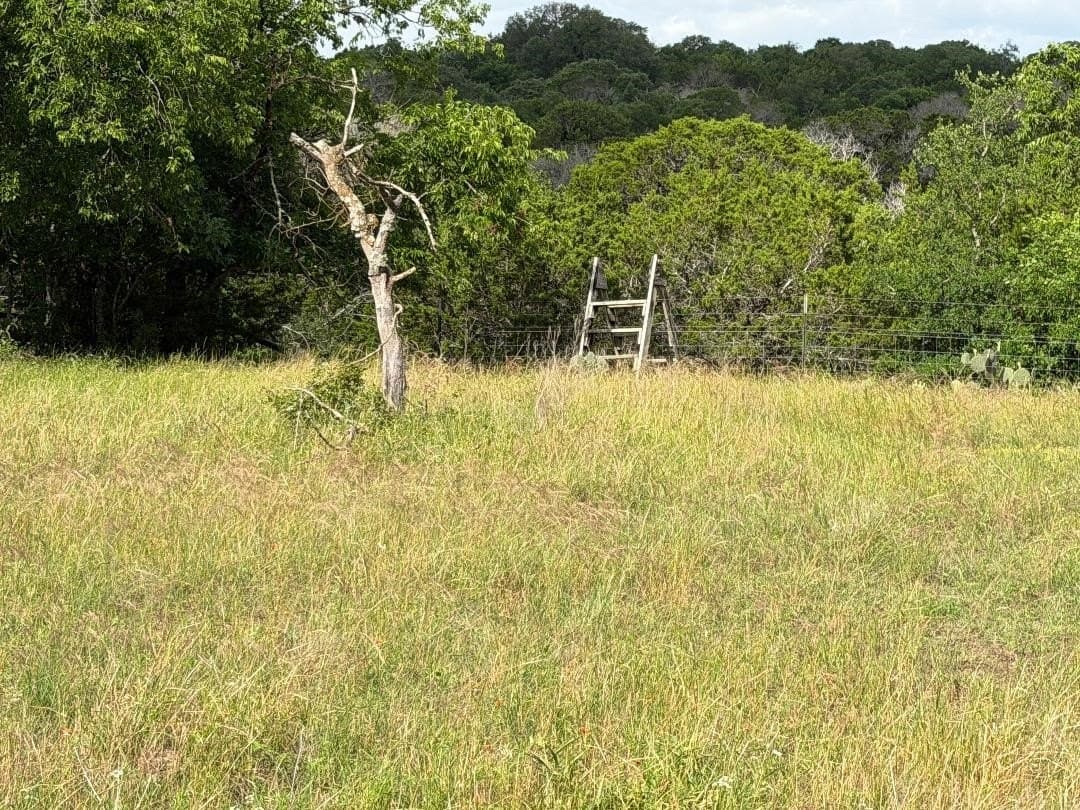 50 acres in Bosque County - photo 18