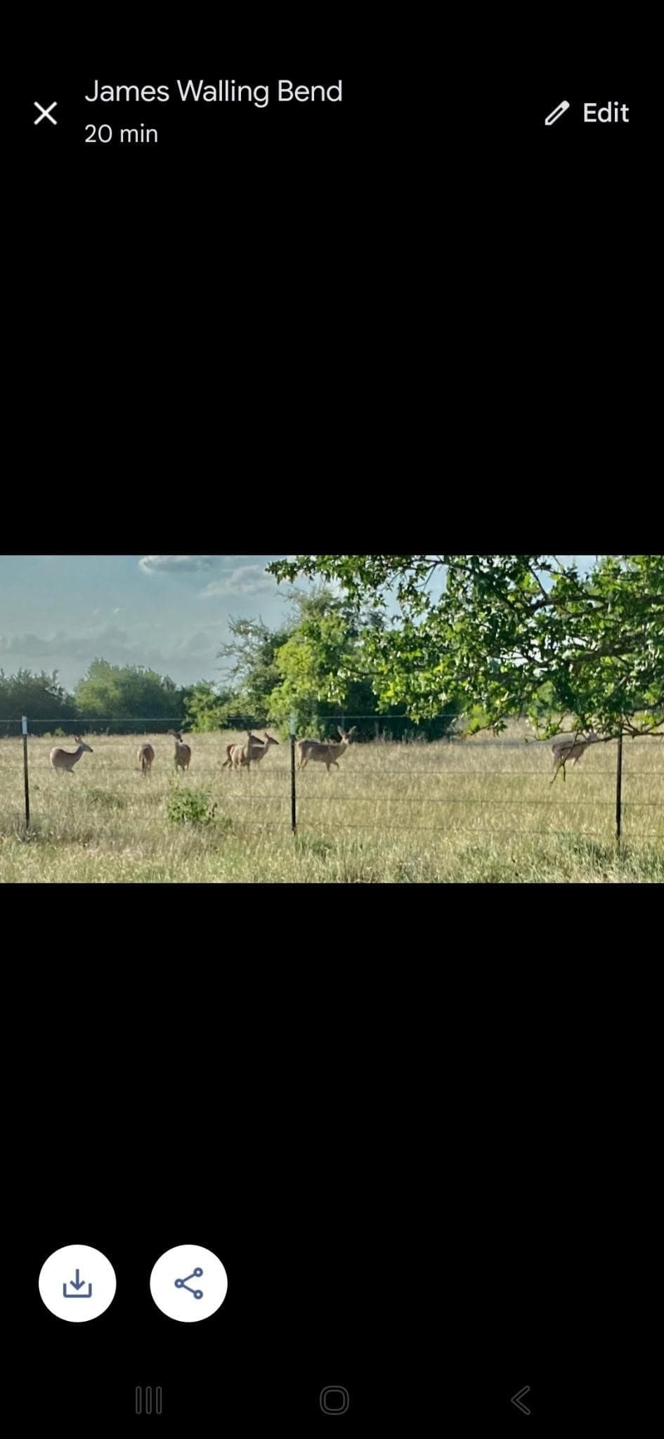 50 acres in Bosque County - photo 22