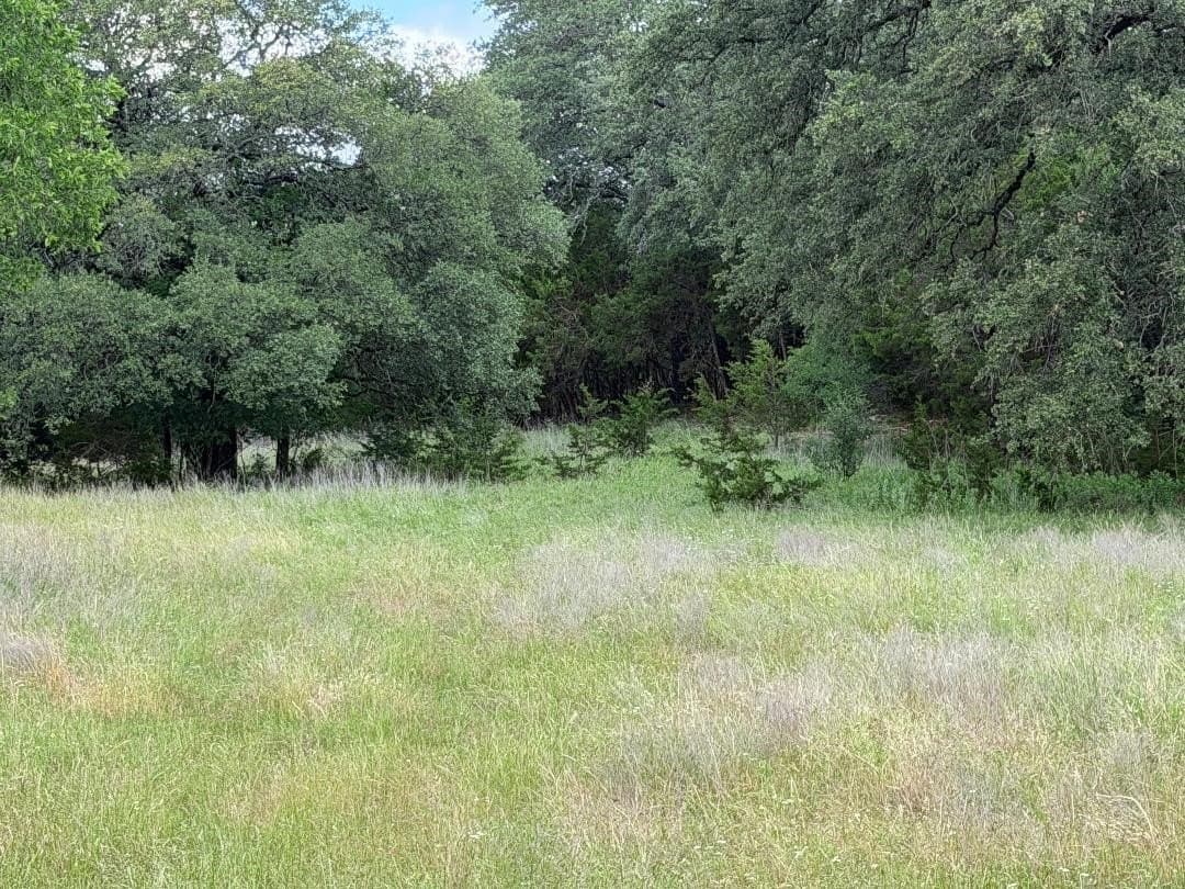50 acres in Bosque County - photo 17