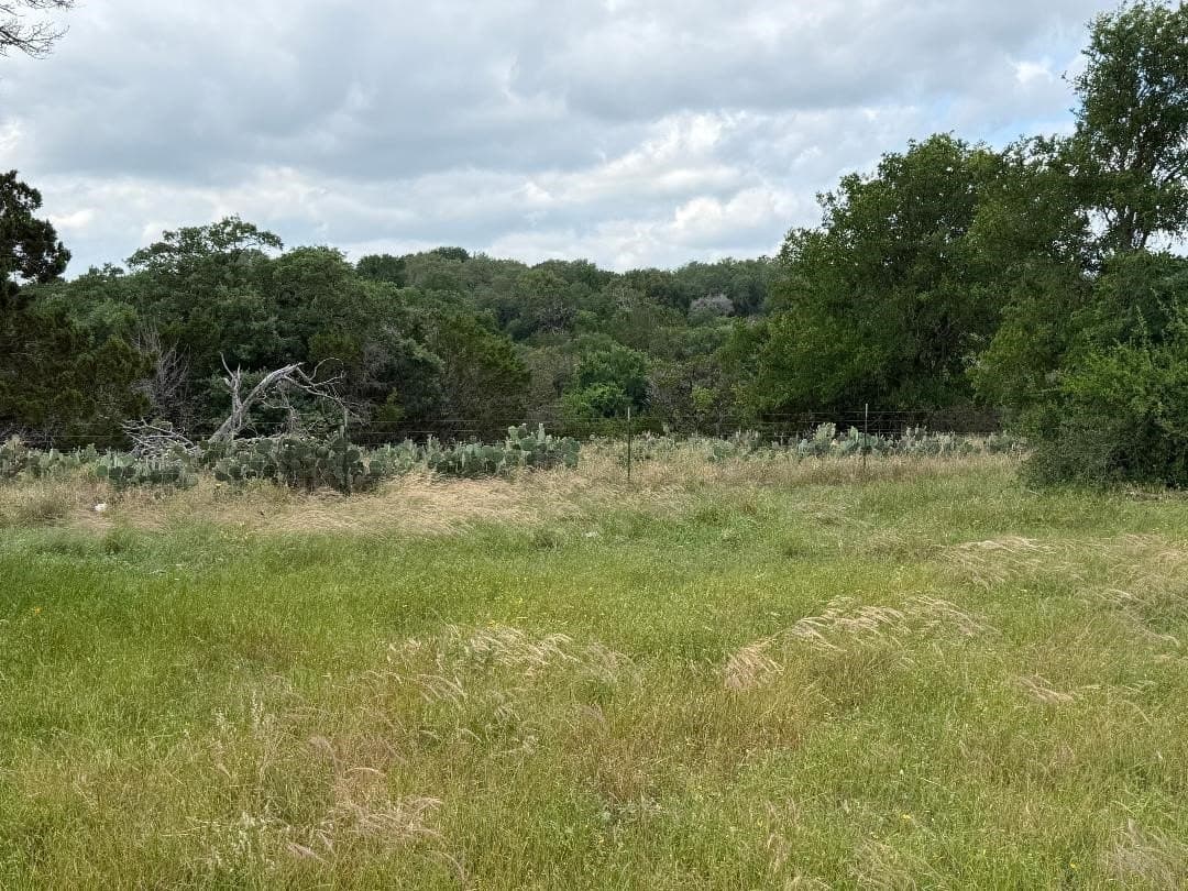50 acres in Bosque County - photo 9