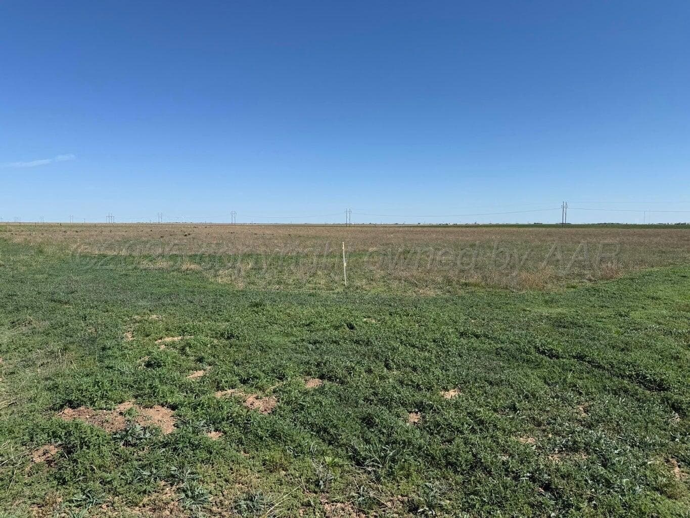 2 acres in Potter County - photo 2