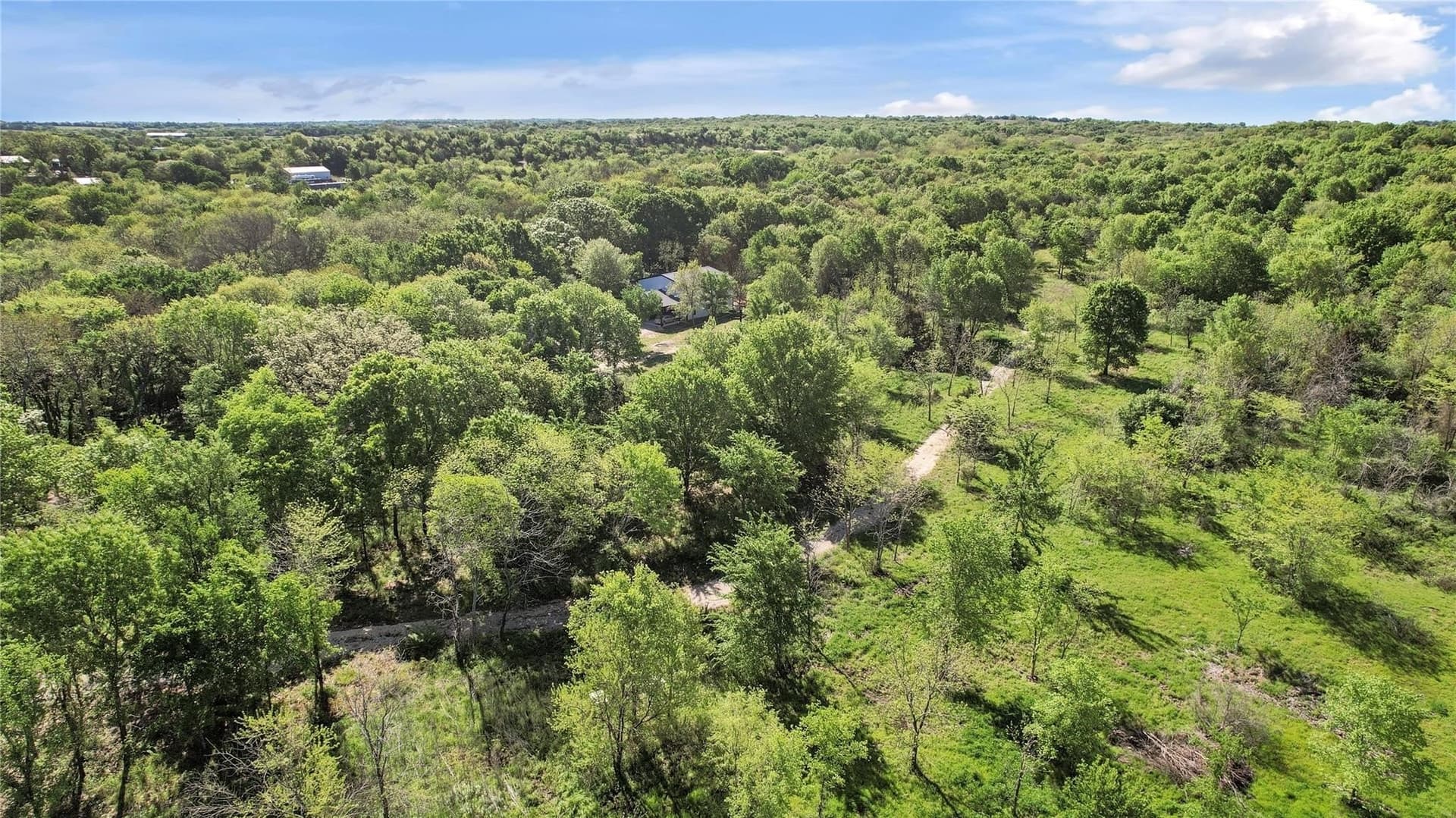 11 acres in Grayson County gallery image 4