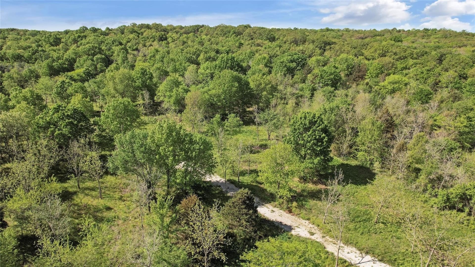 11 acres in Grayson County featured view