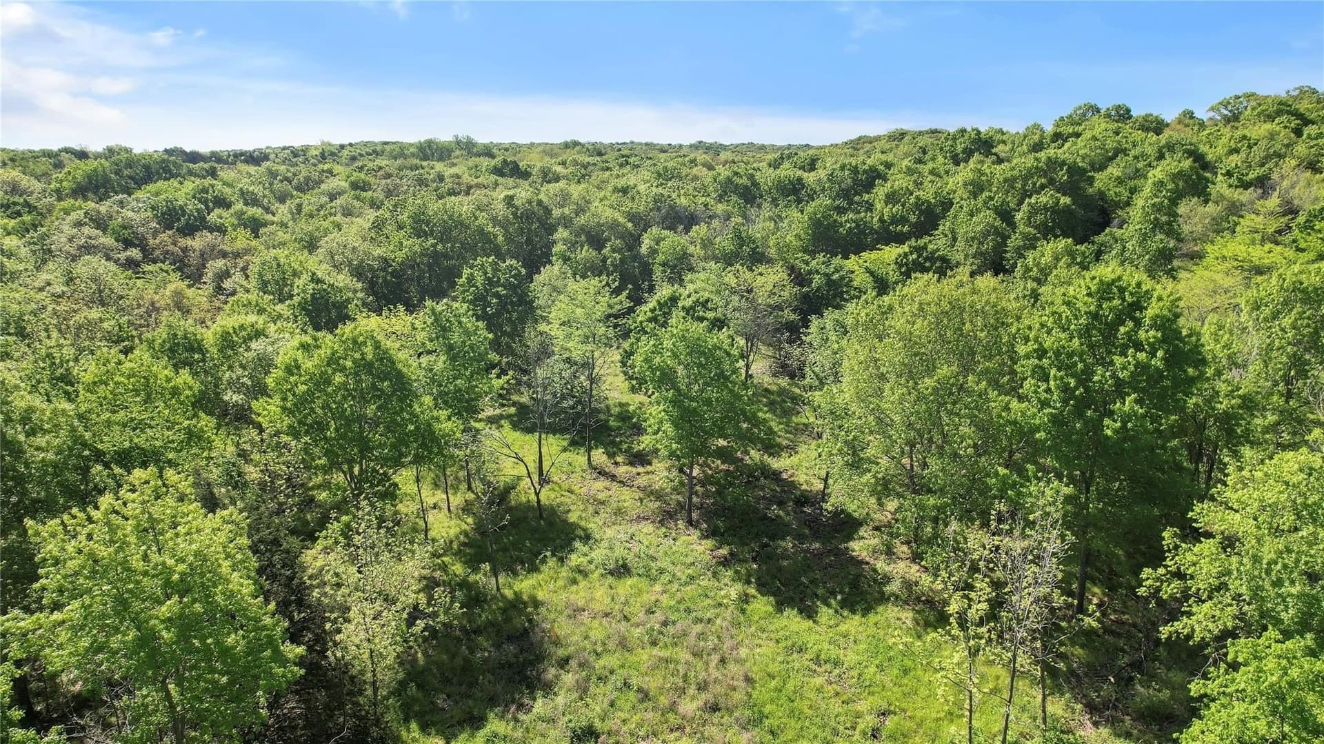 11 acres in Grayson County