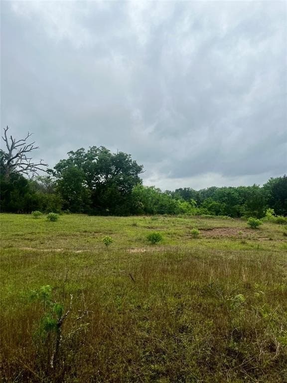 15 acres in Limestone County gallery image 2