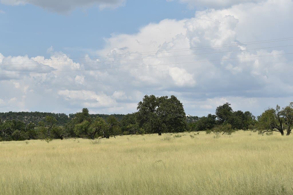 10.1 acres in Gillespie County gallery image 2
