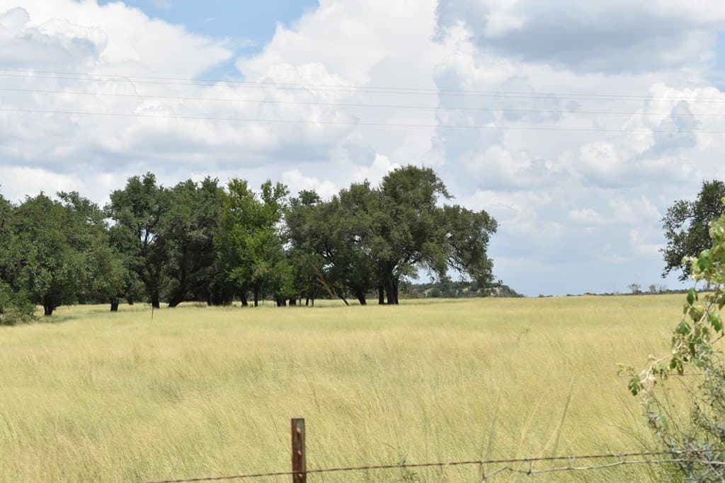 10.1 acres in Gillespie County gallery image 3