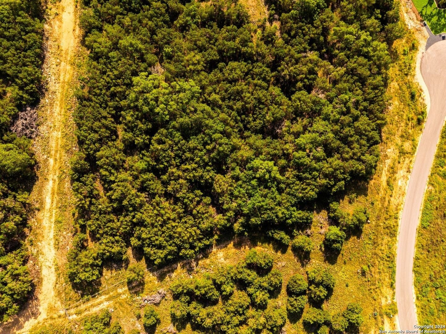 2.39 acres in Comal County - photo 8