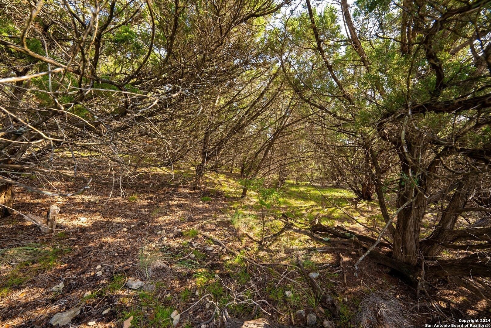 2.39 acres in Comal County - photo 18
