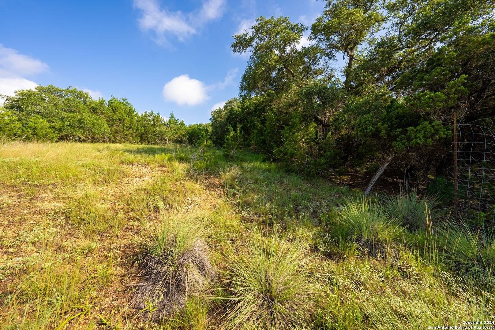 2.39 acres in Comal County - photo 16