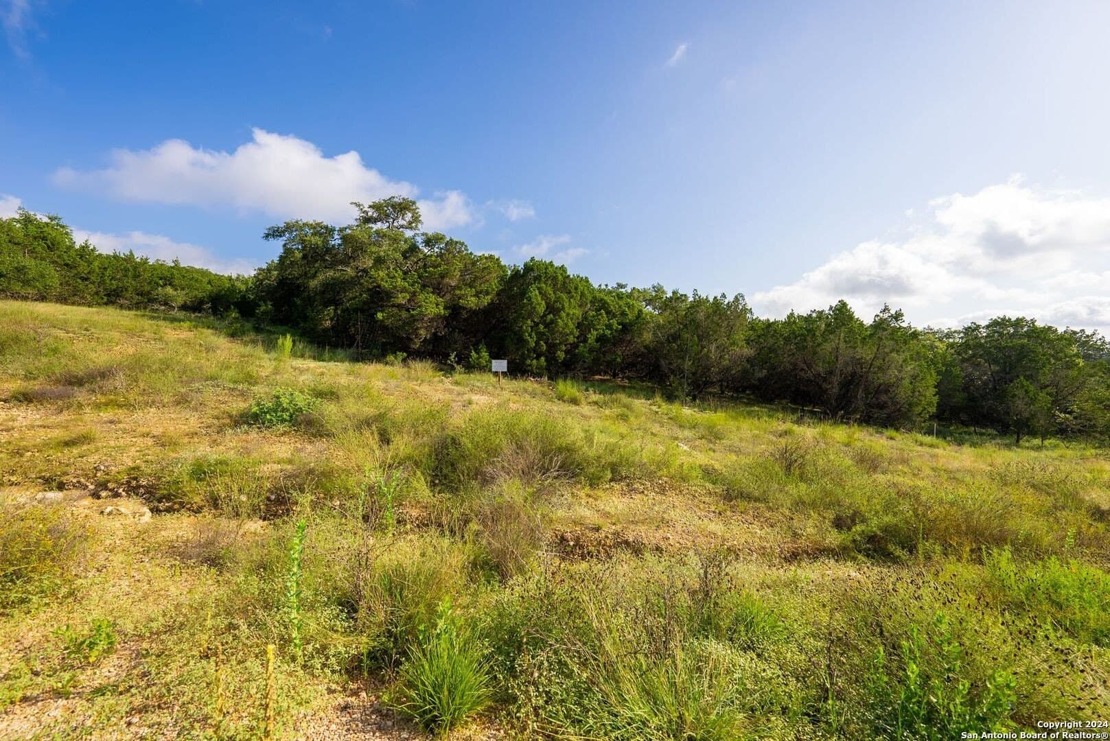 2.39 acres in Comal County - photo 13