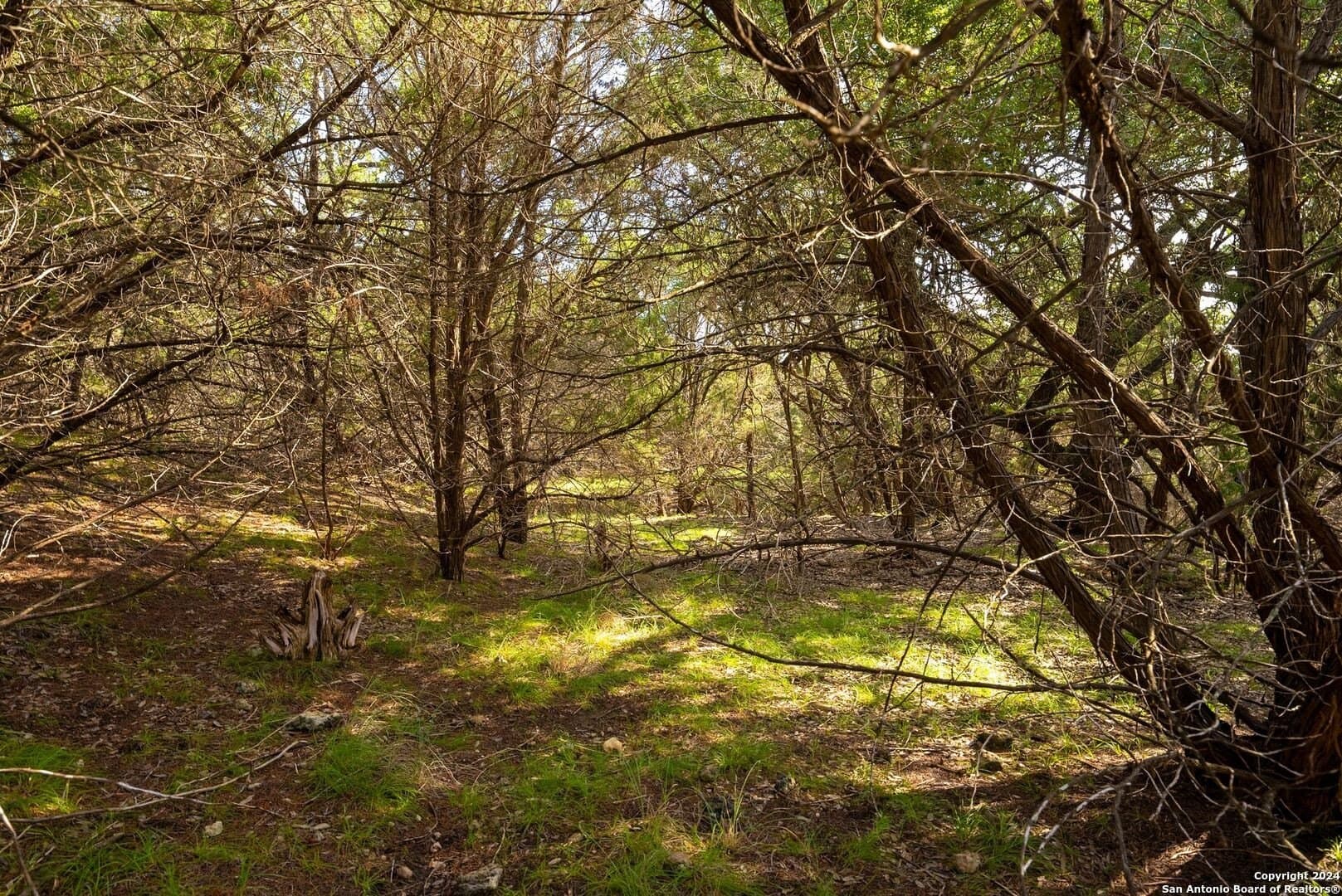 2.39 acres in Comal County - photo 19