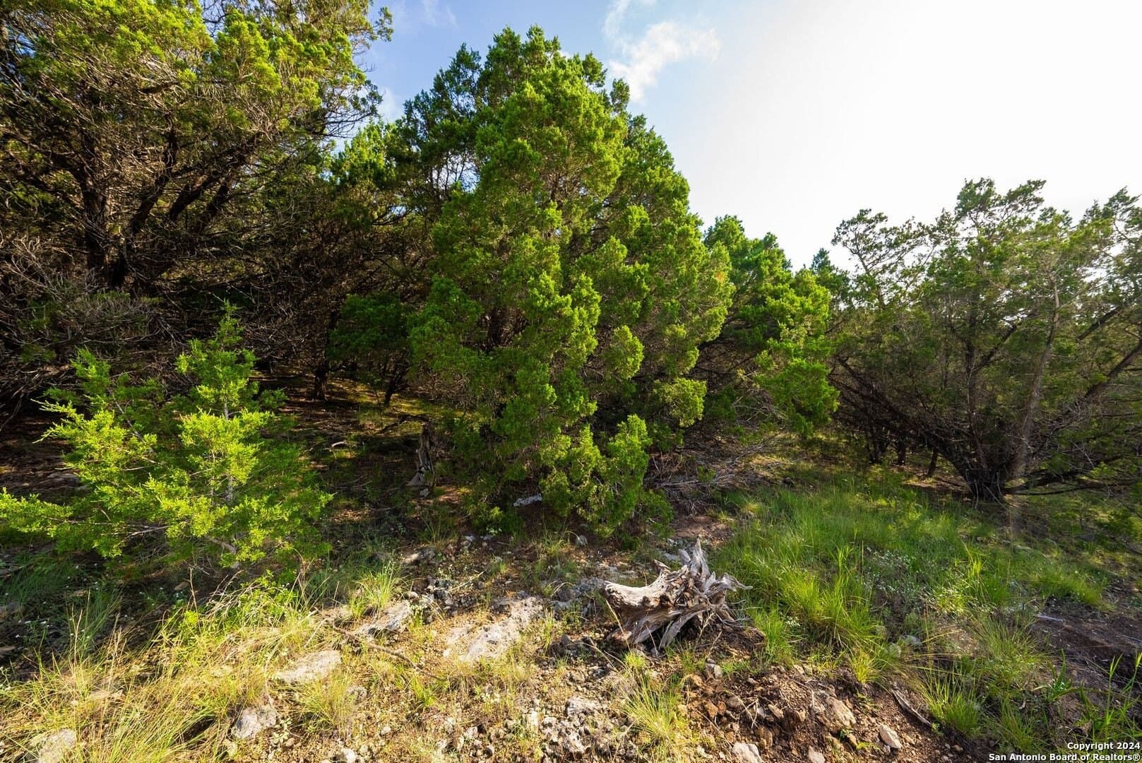2.39 acres in Comal County - photo 17