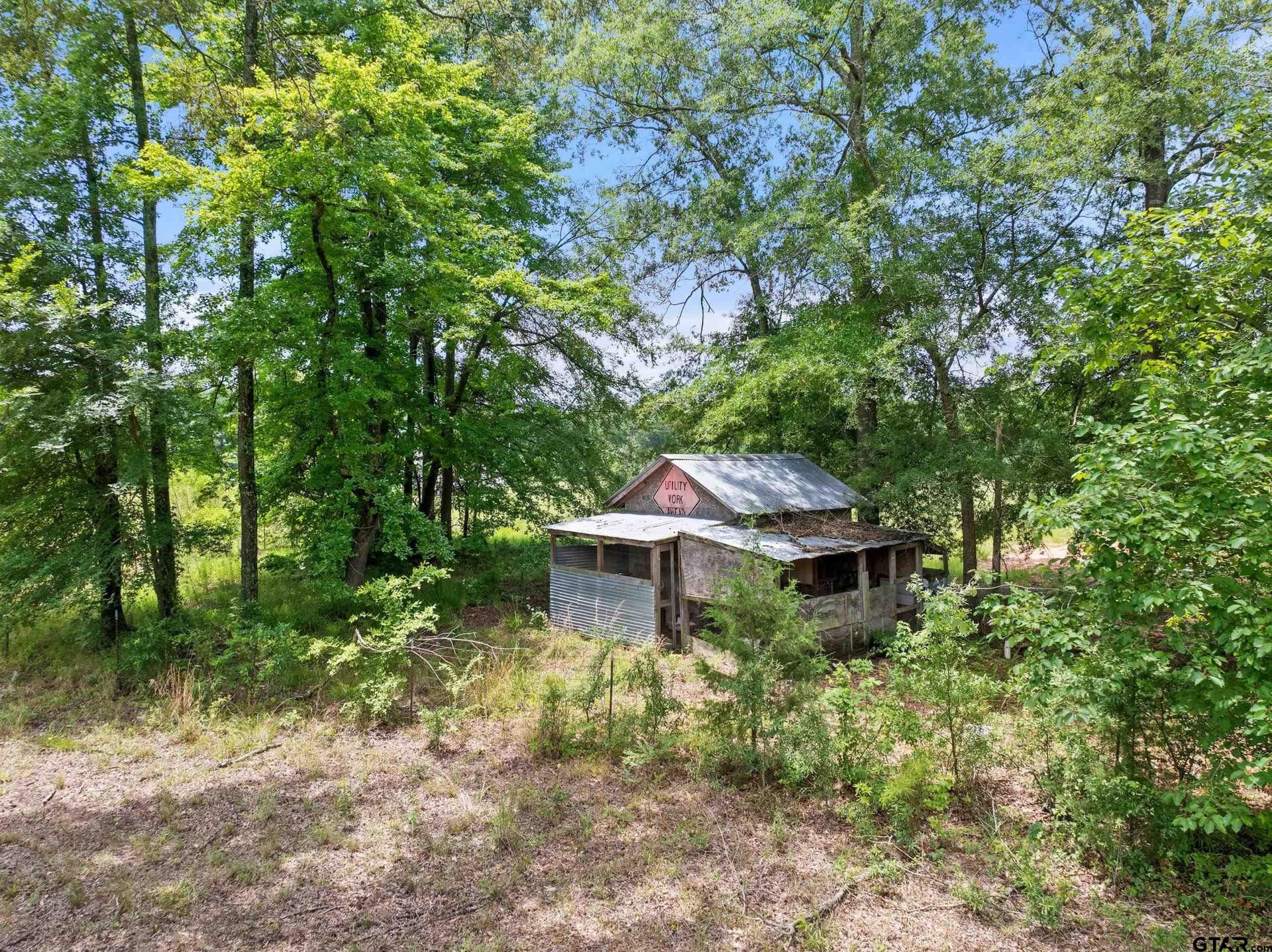 13 acres in Titus County - photo 44
