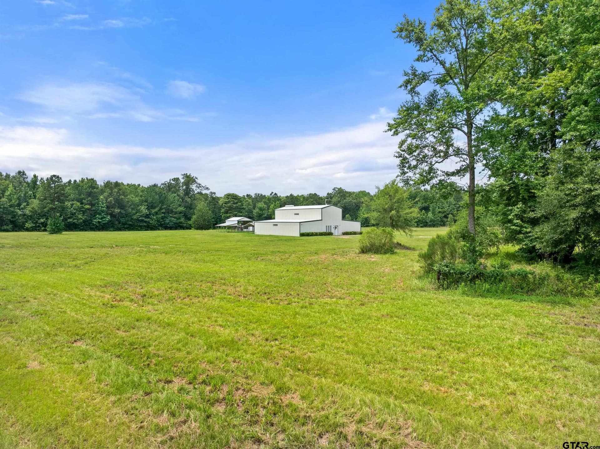 13 acres in Titus County - photo 45