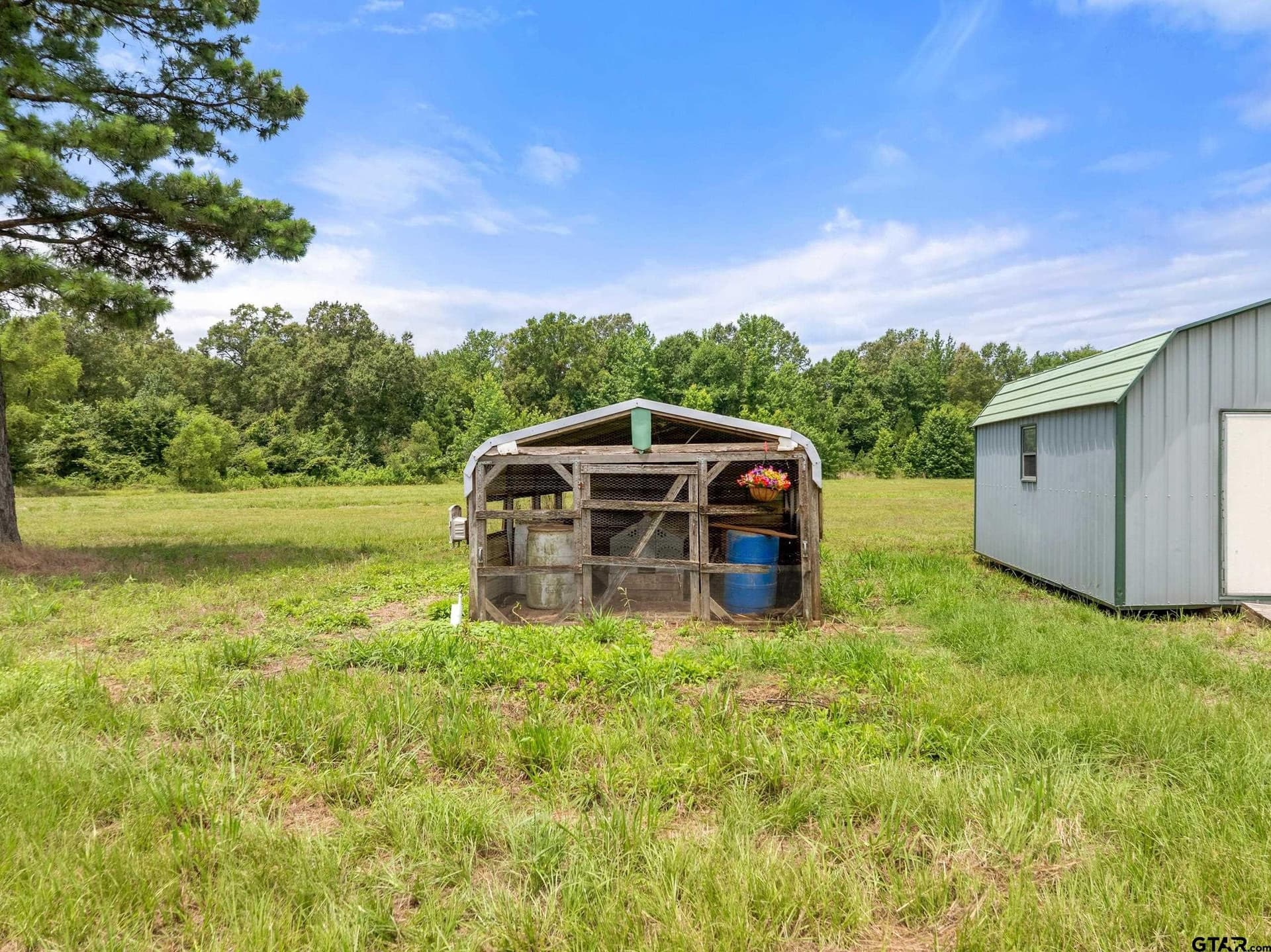 13 acres in Titus County - photo 35