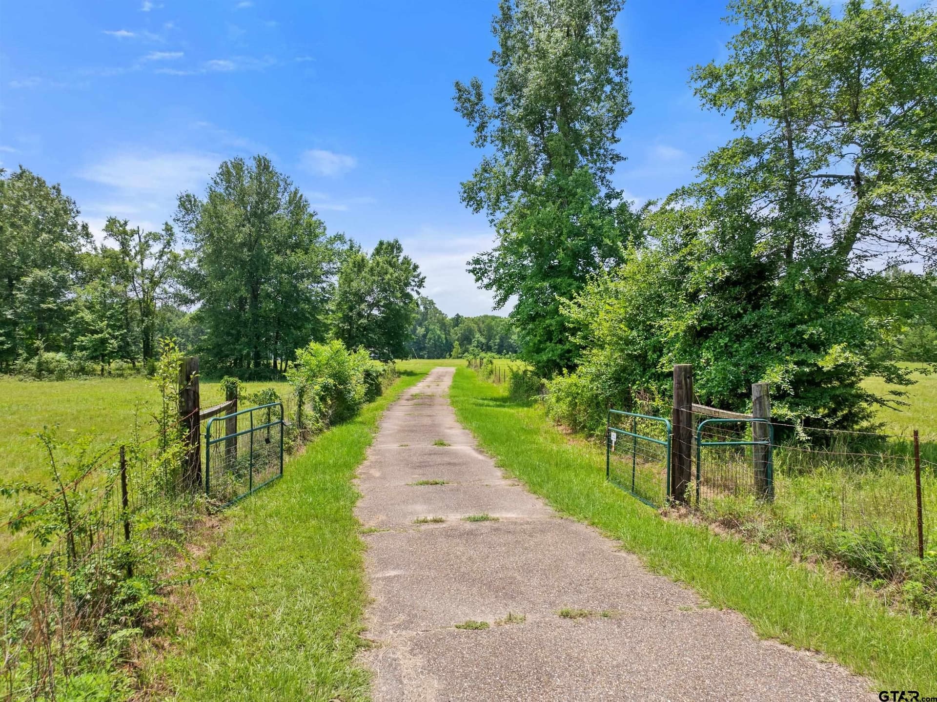 13 acres in Titus County - photo 46