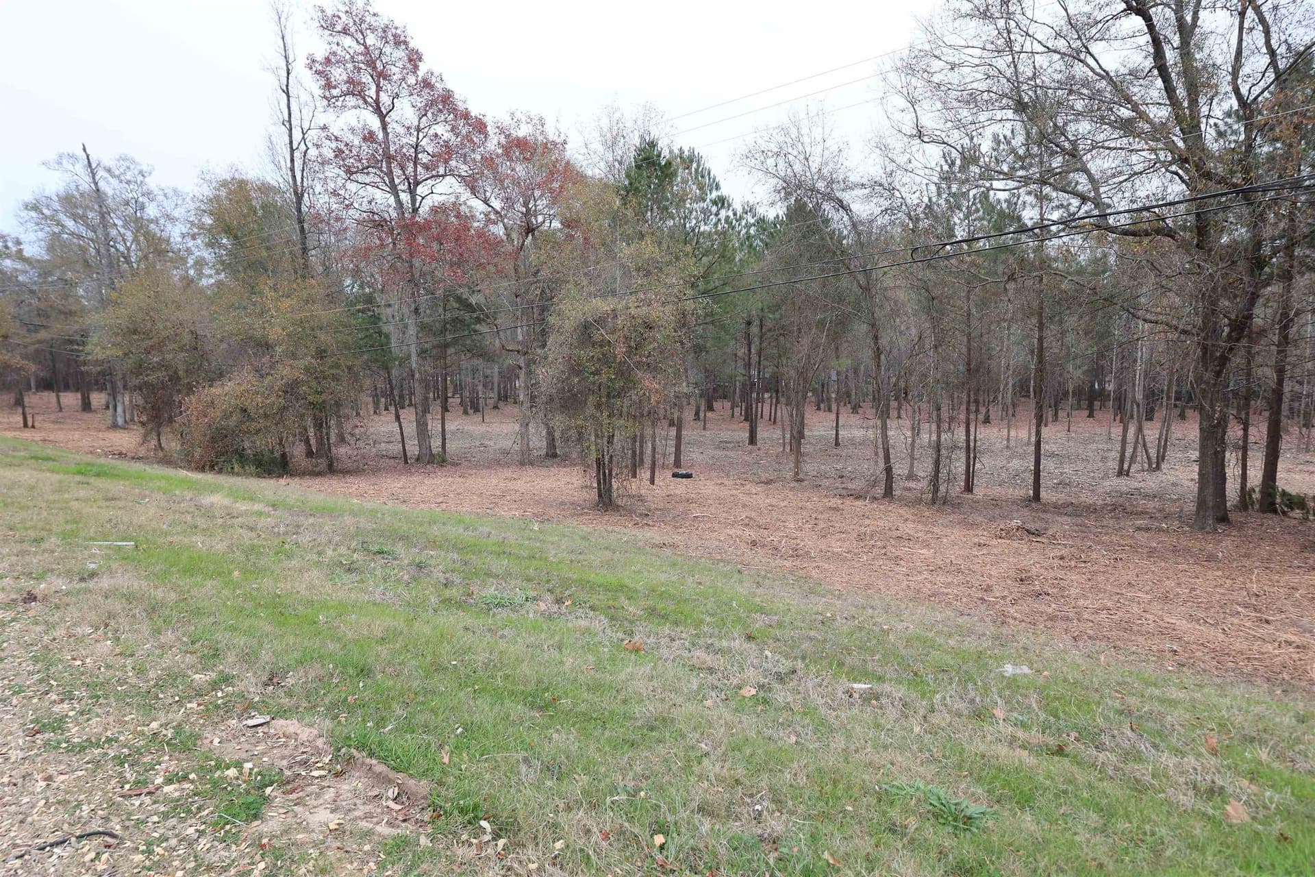 10.92 acres in Rusk County gallery image 2