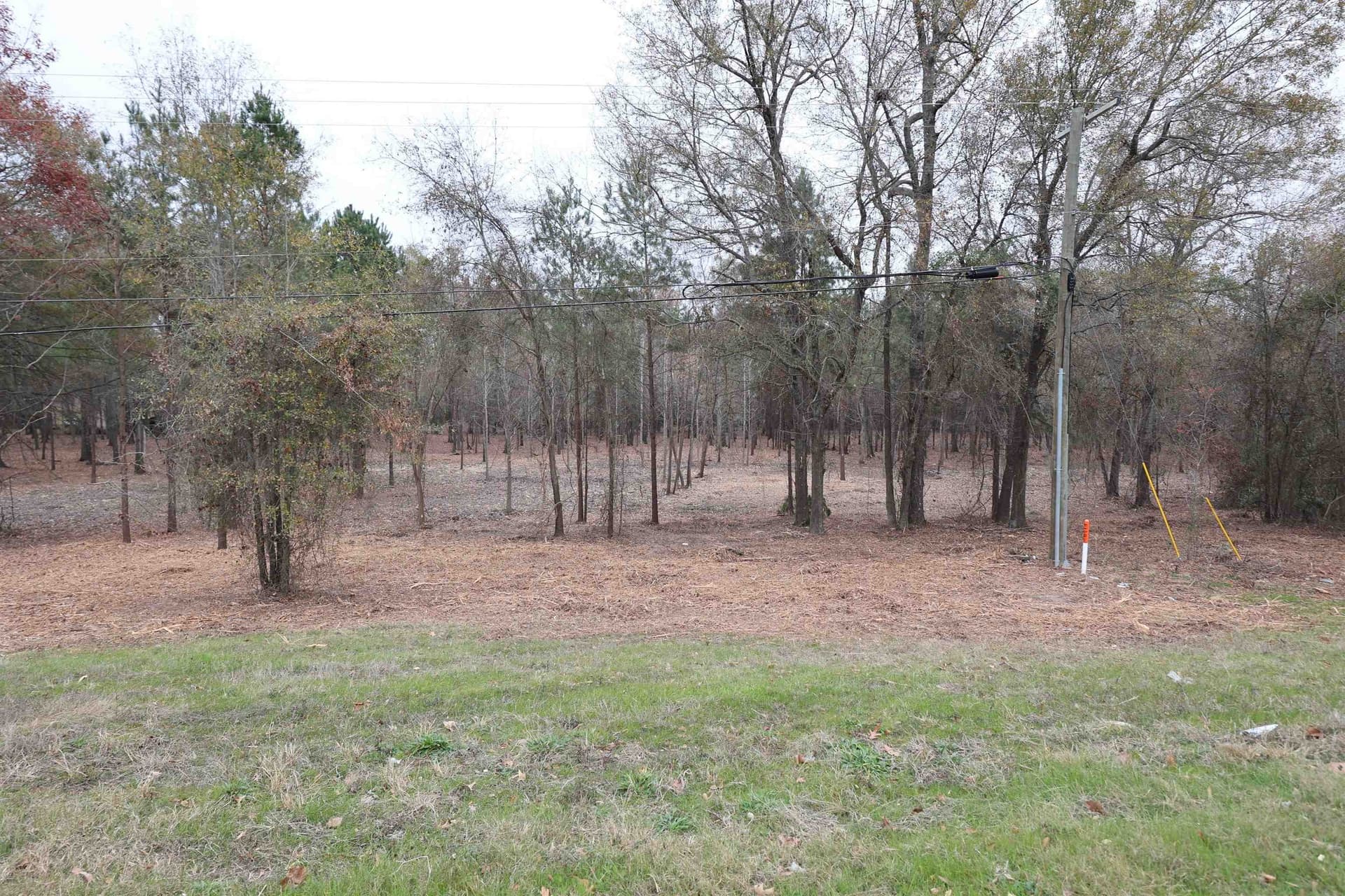 10.92 acres in Rusk County gallery image 4