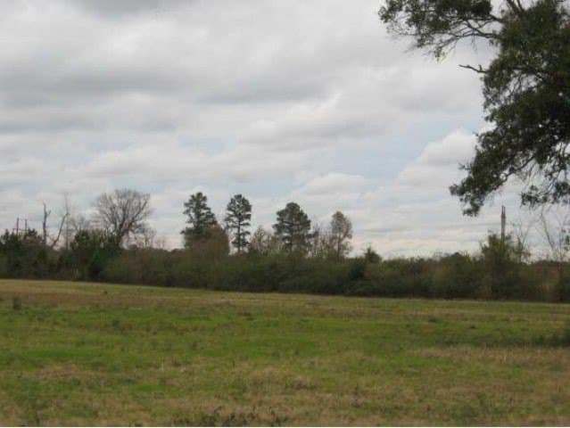 6.49 acres in Texas County gallery image 2