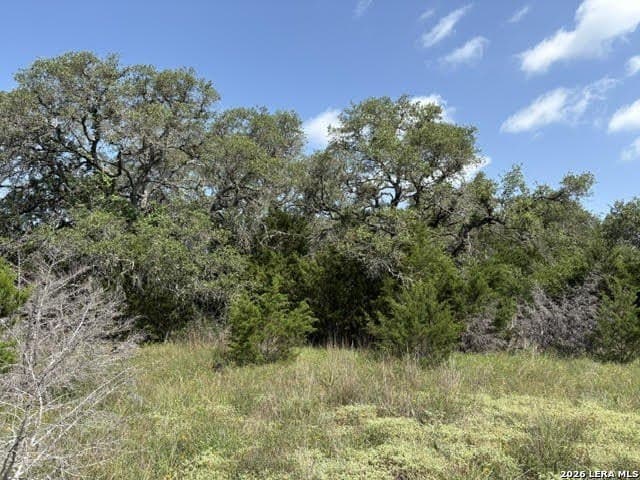 3.05 acres in Comal County - photo 27