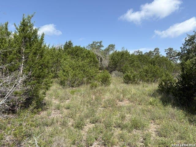 3.05 acres in Comal County - photo 23