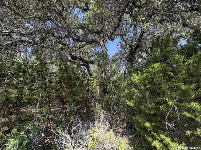 3.05 acres in Comal County - photo 12