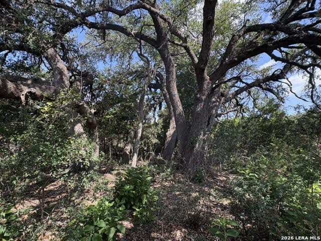 3.05 acres in Comal County - photo 6