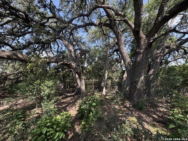 3.05 acres in Comal County - photo 7