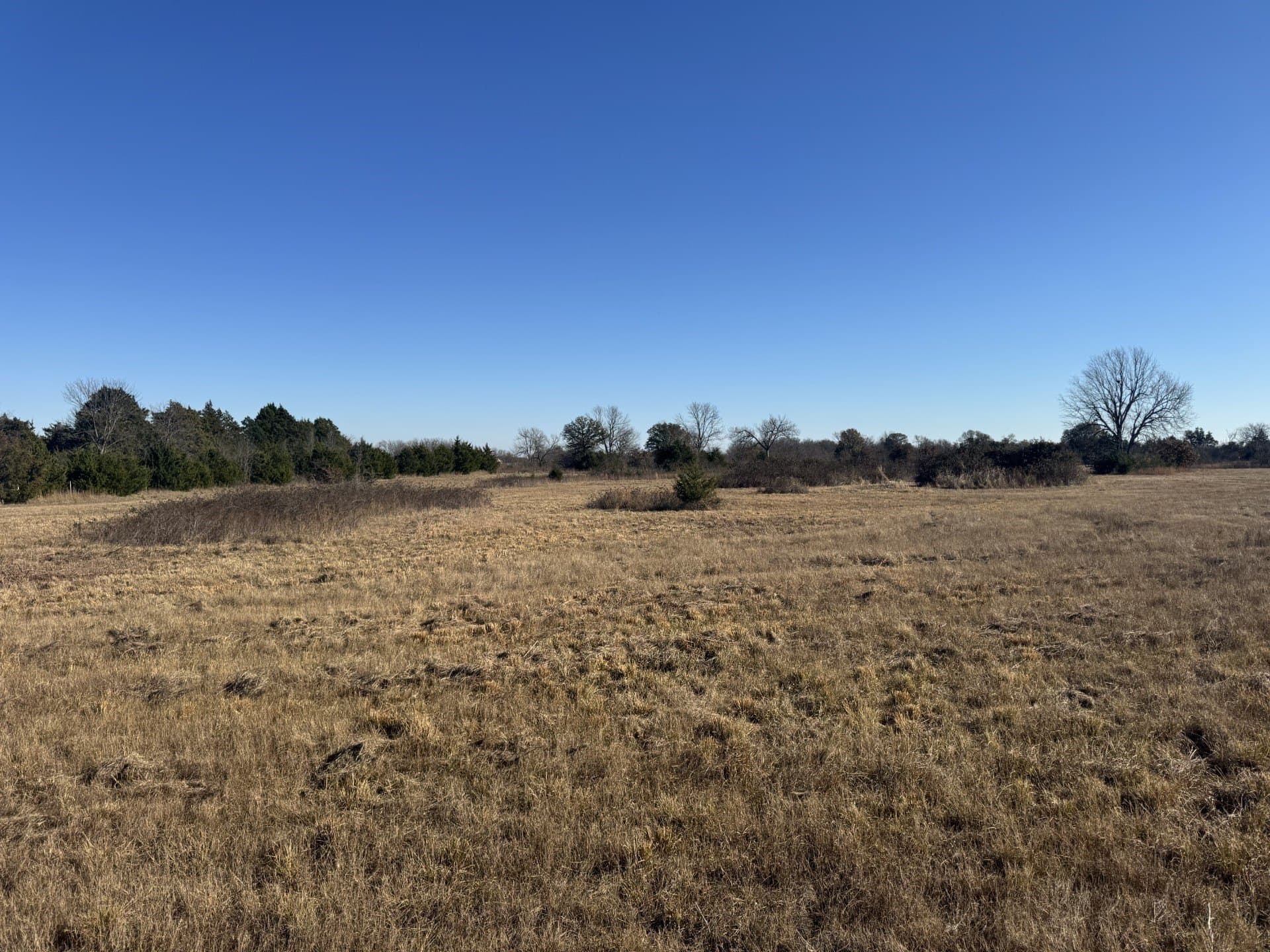 10.25 acres in Lamar County - photo 4