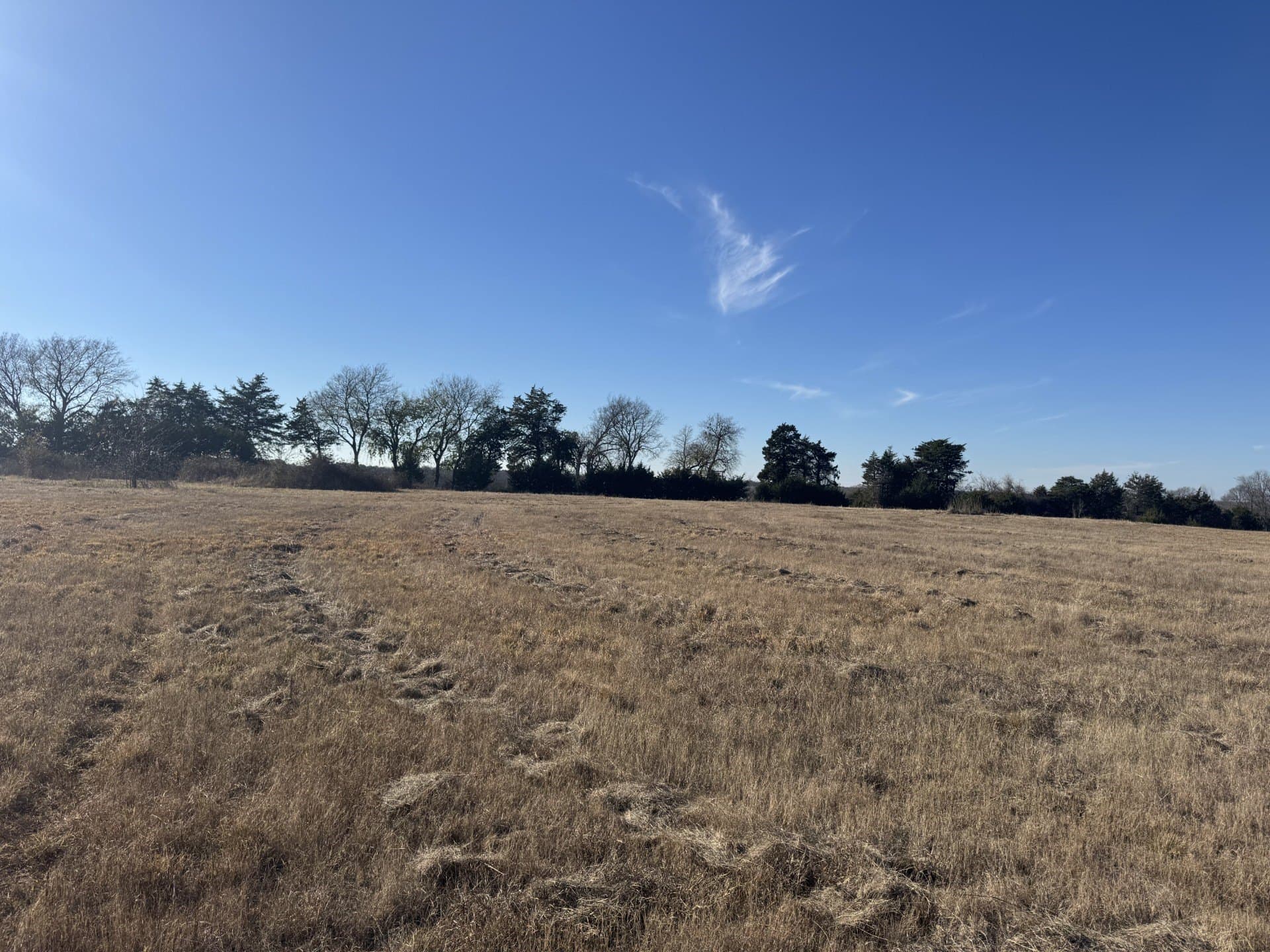 10.25 acres in Lamar County - photo 5